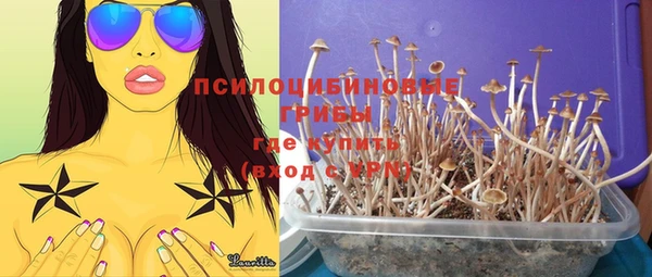 синтетический гашиш Белокуриха