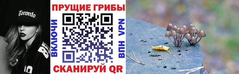 Псилоцибиновые грибы мицелий  Дыгулыбгей 